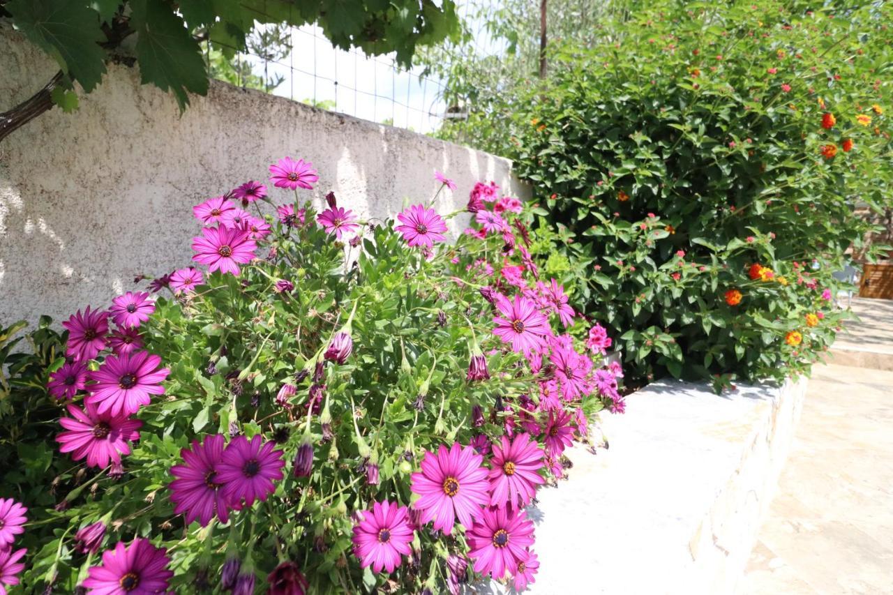 Villa Juli Εξαμίλιο Εξωτερικό φωτογραφία